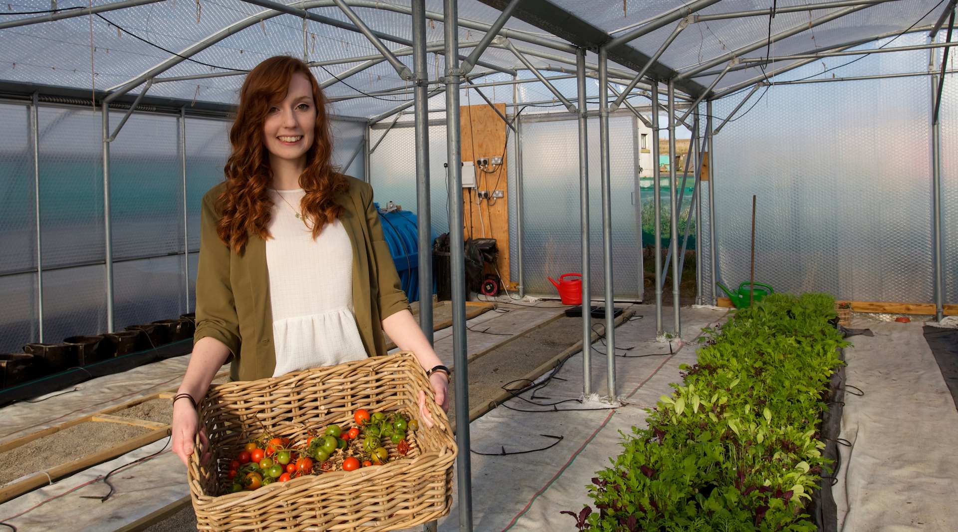 Poly Tunnel 1920